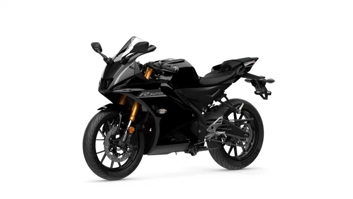 Black sport motorcycle shown from a front-left-side angle, with gold inverted forks and aggressive styling.